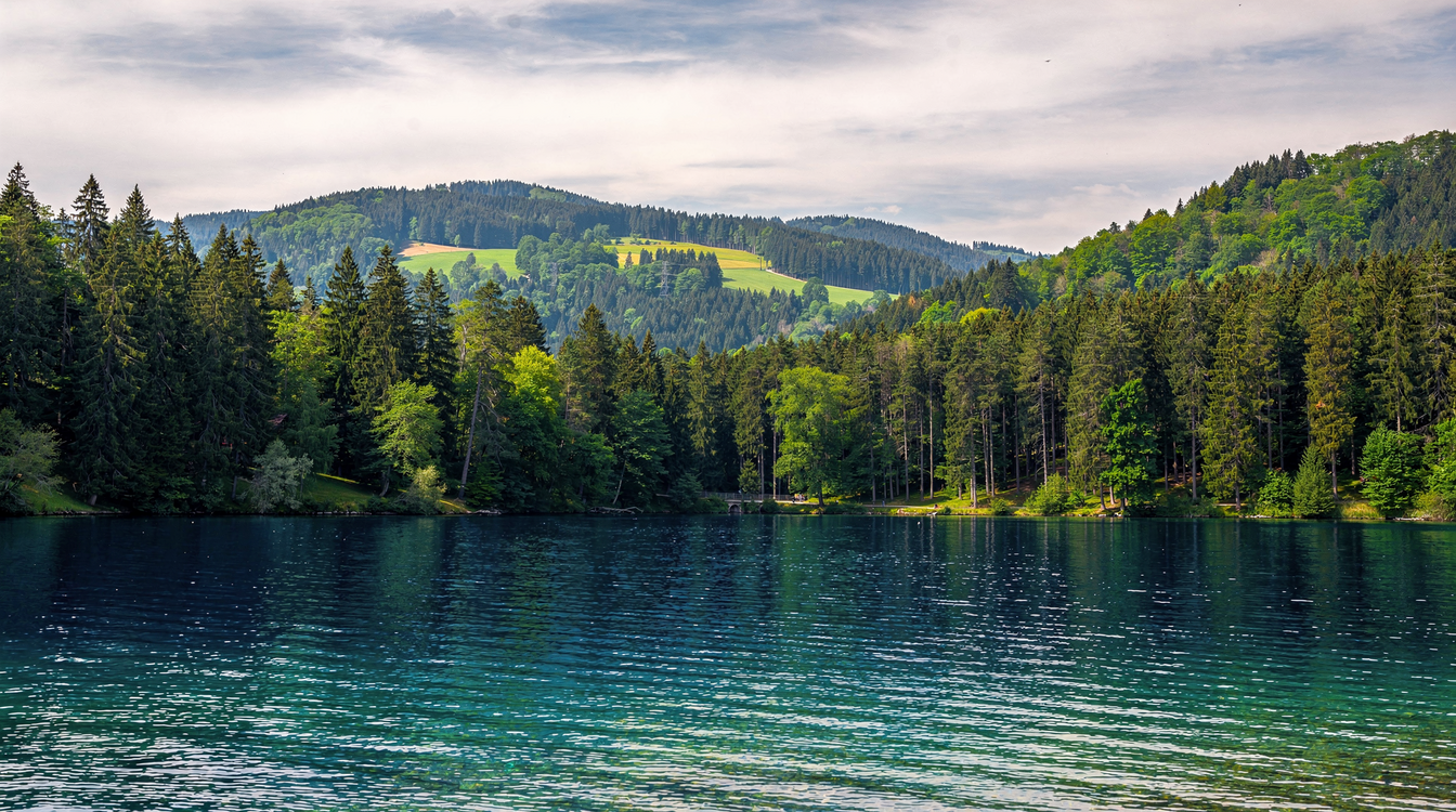Titisee (Schwarzwald) : Paradies zwischen tiefblauem Wasser und dunklen Tannen